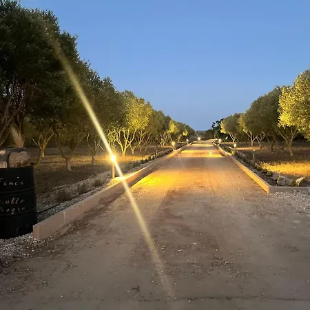 Villa Mallorca 19 Km Montuiri Gallo Negro Santanyi Gesamte Social Media