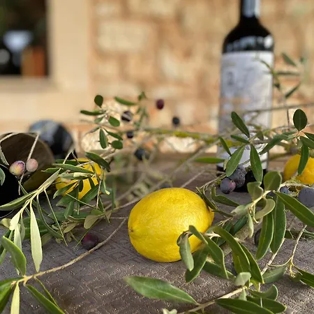 Mallorca 19 Km Montuiri Gallo Negro Santanyi Gesamte Social Media *