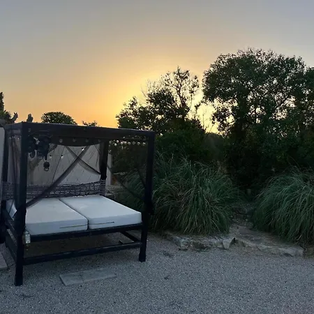 Villa Mallorca 19 Km Montuiri Gallo Negro Santanyi Gesamte Social Media